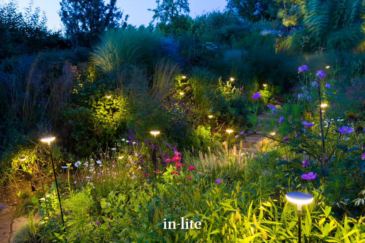 In-Lite Sway Tube Low 60cm Solitary