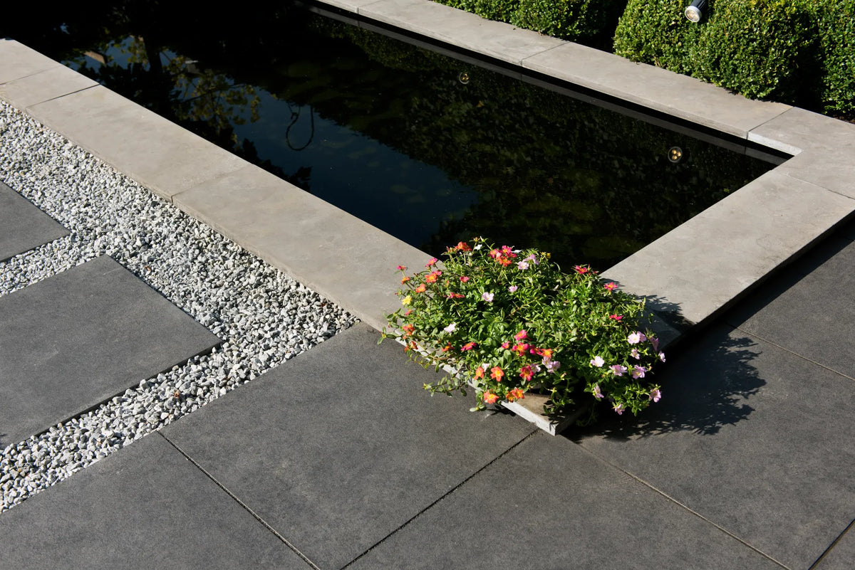 Bluestone Vijverrand 100x30x3 Primo 100x30x3cm Antraciet