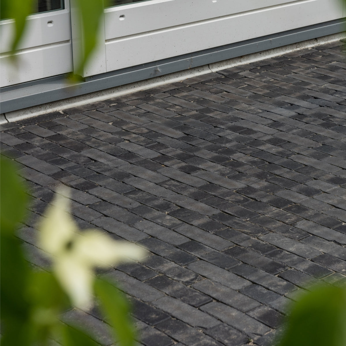 Lucca Antica getrommeld WF60