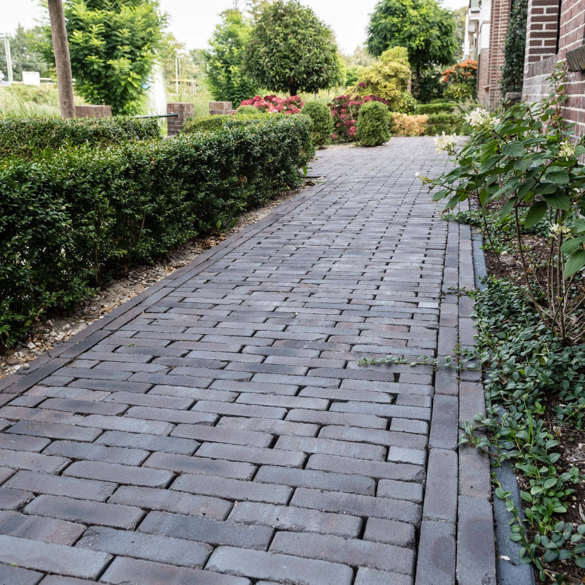 Lugano Antica getrommeld WF60
