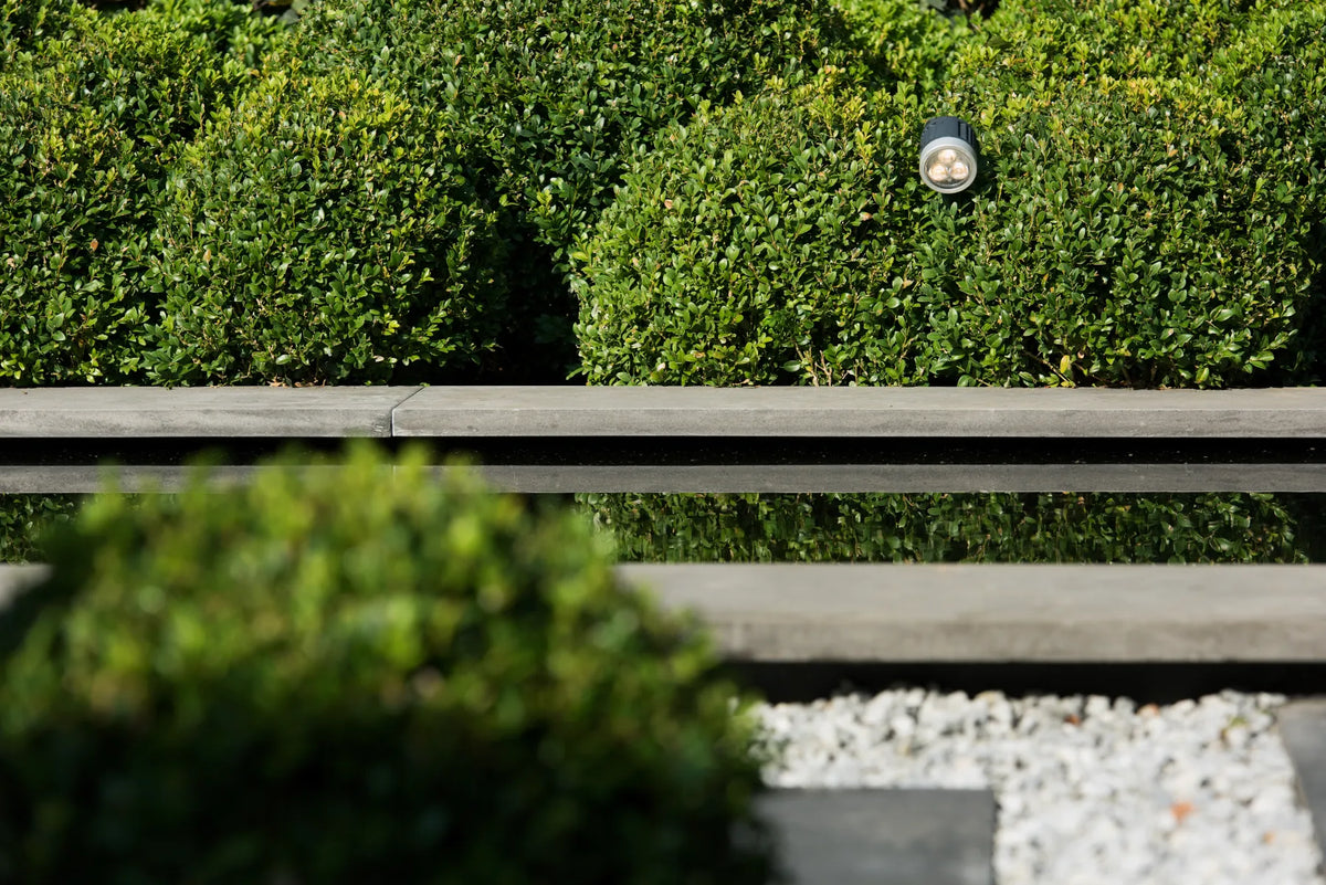 Bluestone Vijverrand 100x30x3 Primo 100x30x3cm Antraciet