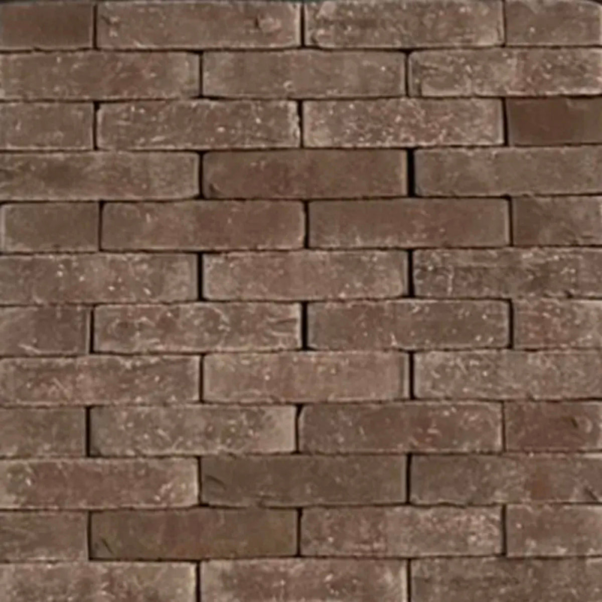 Berlin Waalformaat WF60 Getrommeld 6x5x20cm