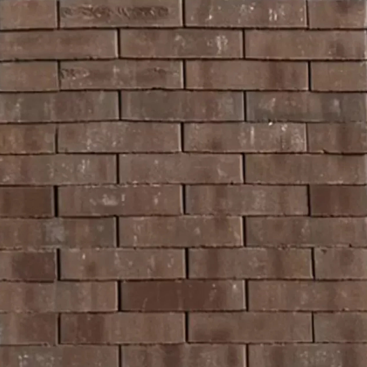 Bonn Waalformaat WF60 Ongetrommeld 6x5x20cm