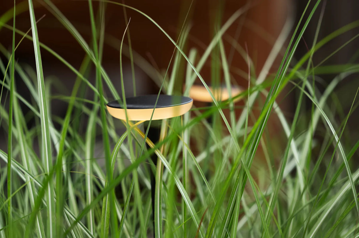 In-Lite Sway Light Head Black Solitary