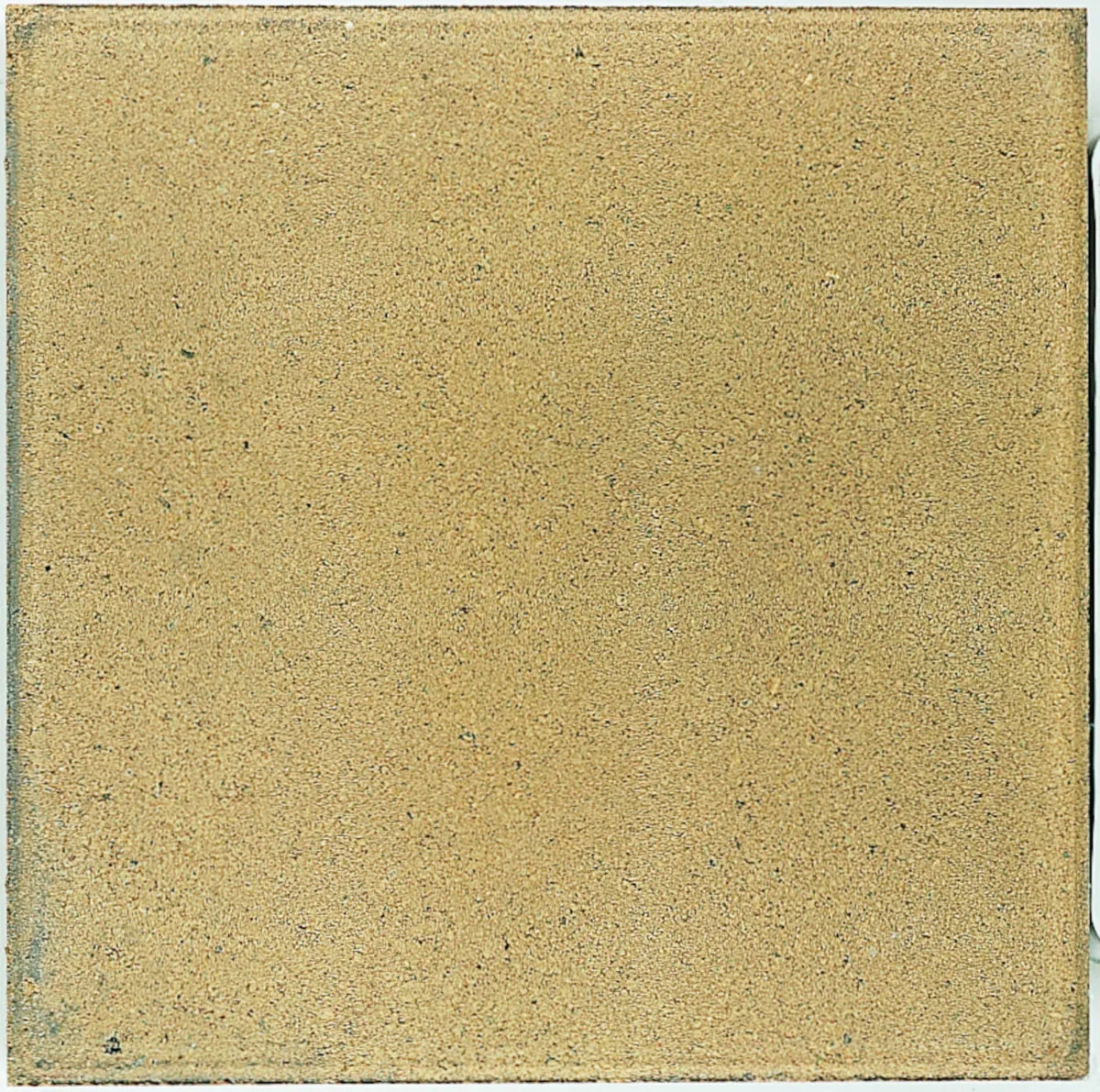 Dreentegel Nxt Comfort Ginger 50x50x4,5 50x50x4,5cm