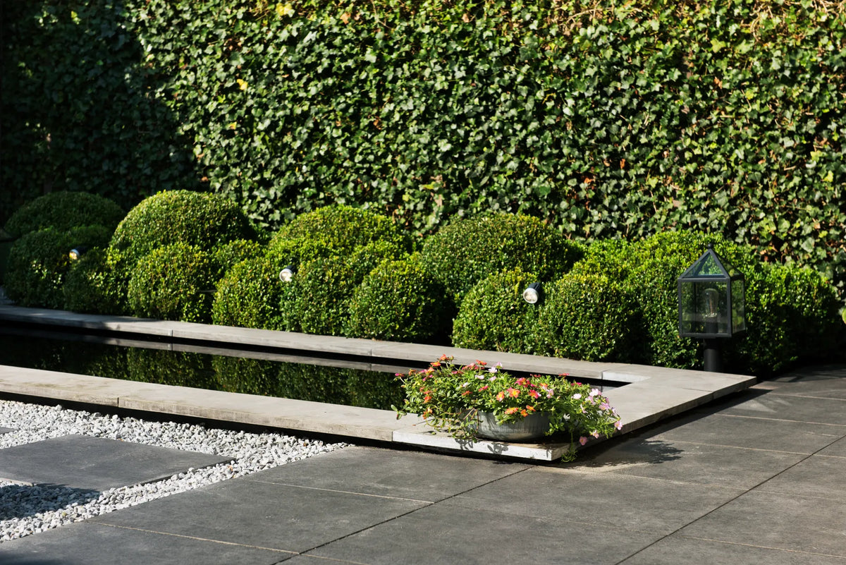Bluestone Vijverrand 100x30x3 Primo 100x30x3cm Antraciet