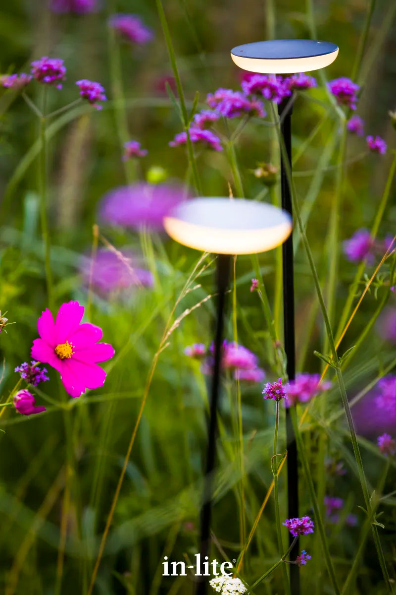 In-Lite Sway Tube Low 60cm Solitary